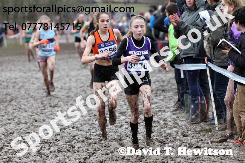 Girls under-15s 2018 British Inter Counties Cross Country Champs., Prestwold Hall, Loughborough. Photo: David T. Hewitson/Sports for All Pics